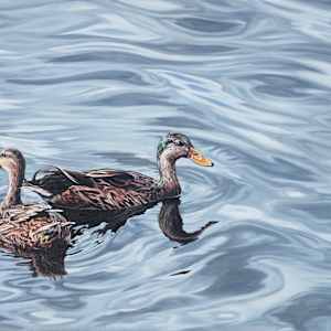 La Pareja by Jessica Monroe Fine Art 