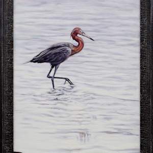 Reddish Walking by Jessica Monroe Fine Art 