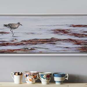 Hunting Plover by Jessica Monroe Fine Art 