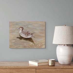 Mottled Duck on Birch by Jessica Monroe Fine Art 