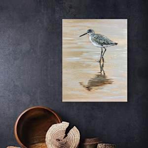 Little Willet by Jessica Monroe Fine Art