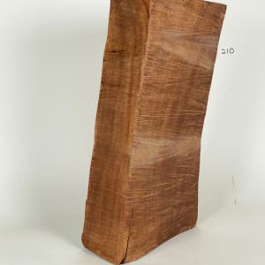 PIECES OF WOOD #3 by Doug Moran