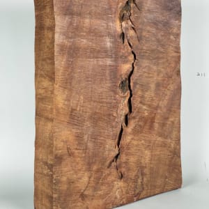 PIECES OF WOOD #4 by Doug Moran