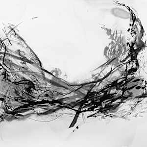 What we contained by Laura Cleary Williams, Image 1.