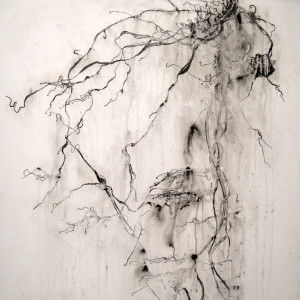 Root II by Heidi Jung