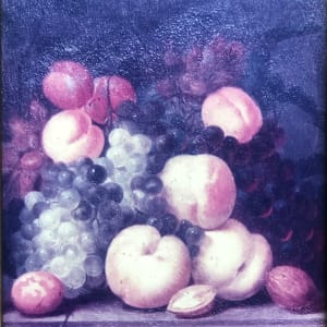 Fruits by Van Os