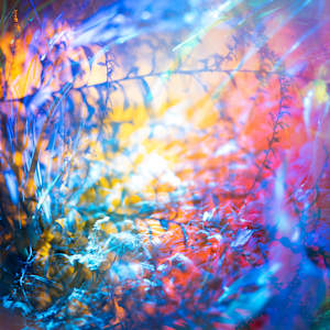 Maelstrom in a Rainbow by Brandon Woods, Image 1.
