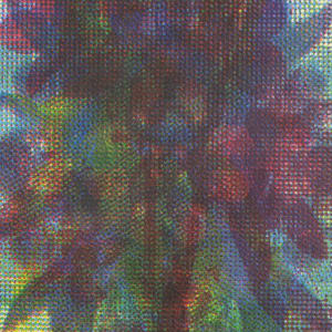 Dissolution: Guardian Angel #113 by Clovis Blackwell