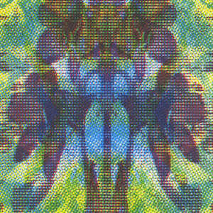 Dissolution: Guardian Angel #124 by Clovis Blackwell, Image 2.