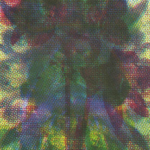Dissolution: Guardian Angel #5 by Clovis Blackwell, Image 2.
