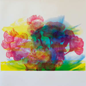 Emanation (Mt St Helens) by Clovis Blackwell