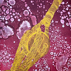 Blood Lines by Theresa Giammattei