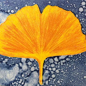 Ginkgo (v2) by Theresa Giammattei, Image 1.