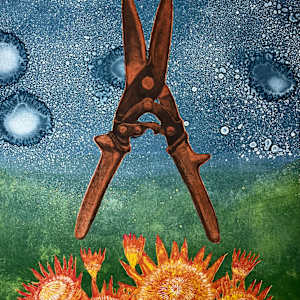 Terraforming by Theresa Giammattei