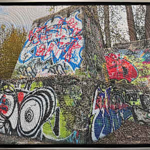 Abandoned- Sandpoint Idaho by Marilyn Henrion