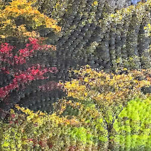 Lismore Castle by Marilyn Henrion, Image 2.