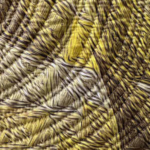 The Geometer's Hand 18 by Marilyn Henrion  Image: detail