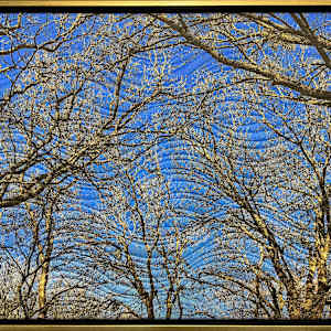 Winter Sky Texas by Marilyn Henrion, Image 1.