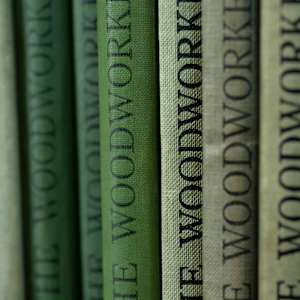 THE WOODWORKER by Mickey Smith