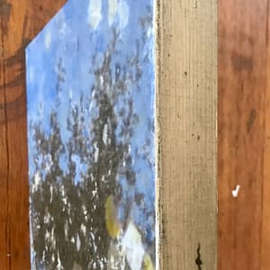 Fall Puddle by C. Clinton 