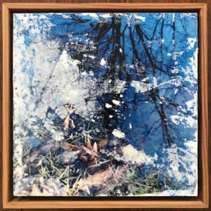 Branches Reflection Study by C. Clinton 