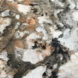 Mystery Light Study 1 by C. Clinton 