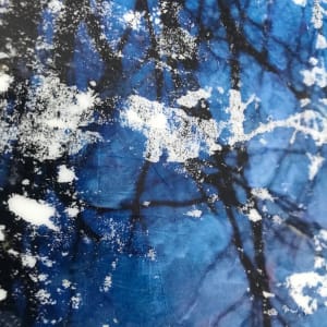 Branches Reflection Study by C. Clinton 