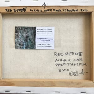 Red Reed 5 by C. Clinton 