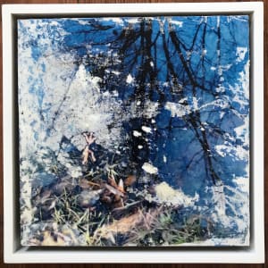 Branches Reflection Study by C. Clinton 