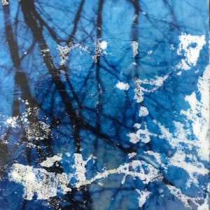 Branches Reflection Study by C. Clinton 