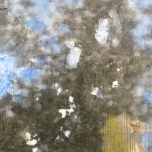 Fall Puddle by C. Clinton 