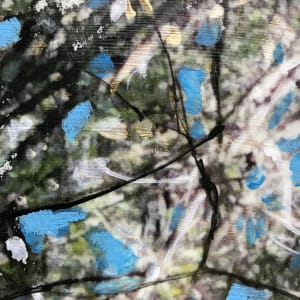 Tangled Study by C. Clinton 