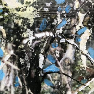 Tangled Study by C. Clinton 