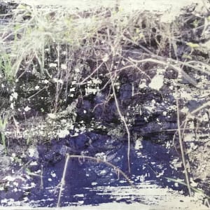 Flooded Brook Reflections 2 by C. Clinton 