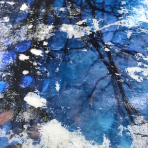 Branches Reflection Study by C. Clinton 