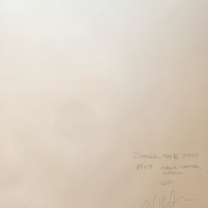 Summer Tree Study by C. Clinton 