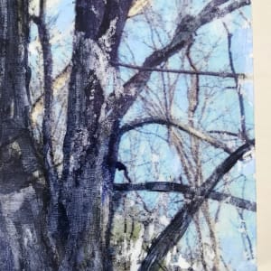 Breath of Trees Study Winter 