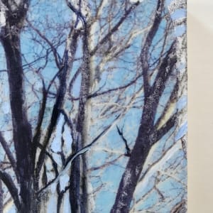 Breath of Trees Study Winter 