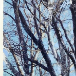 Breath of Trees Study Winter 