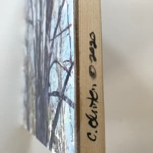 Breath of Trees Study Winter 