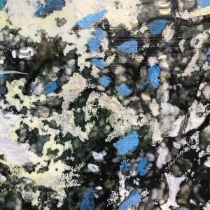 Tangled Study by C. Clinton 