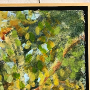 Tree Light: Fall Changing by C. Clinton 