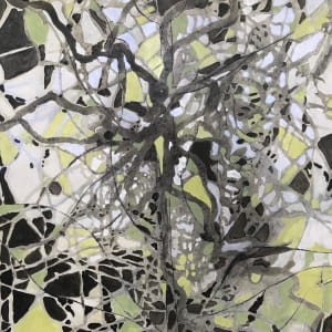 Energy Lines Study by C. Clinton