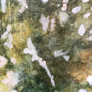 Mystery Light Study Green 