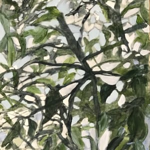 Summer Tree Light 1 by C. Clinton