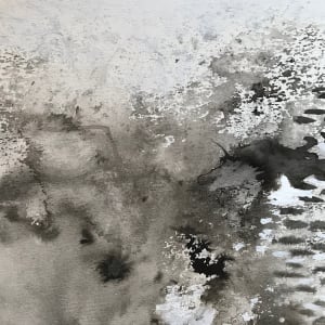 Dream Mapping  Study by C. Clinton 