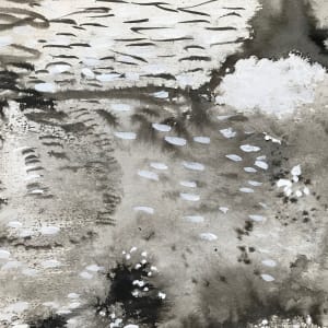 Dream Mapping  Study by C. Clinton 