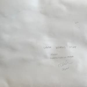 Dream Mapping  Study by C. Clinton 