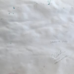Dreaming Study by C. Clinton 