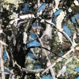 Tangled Study by C. Clinton 